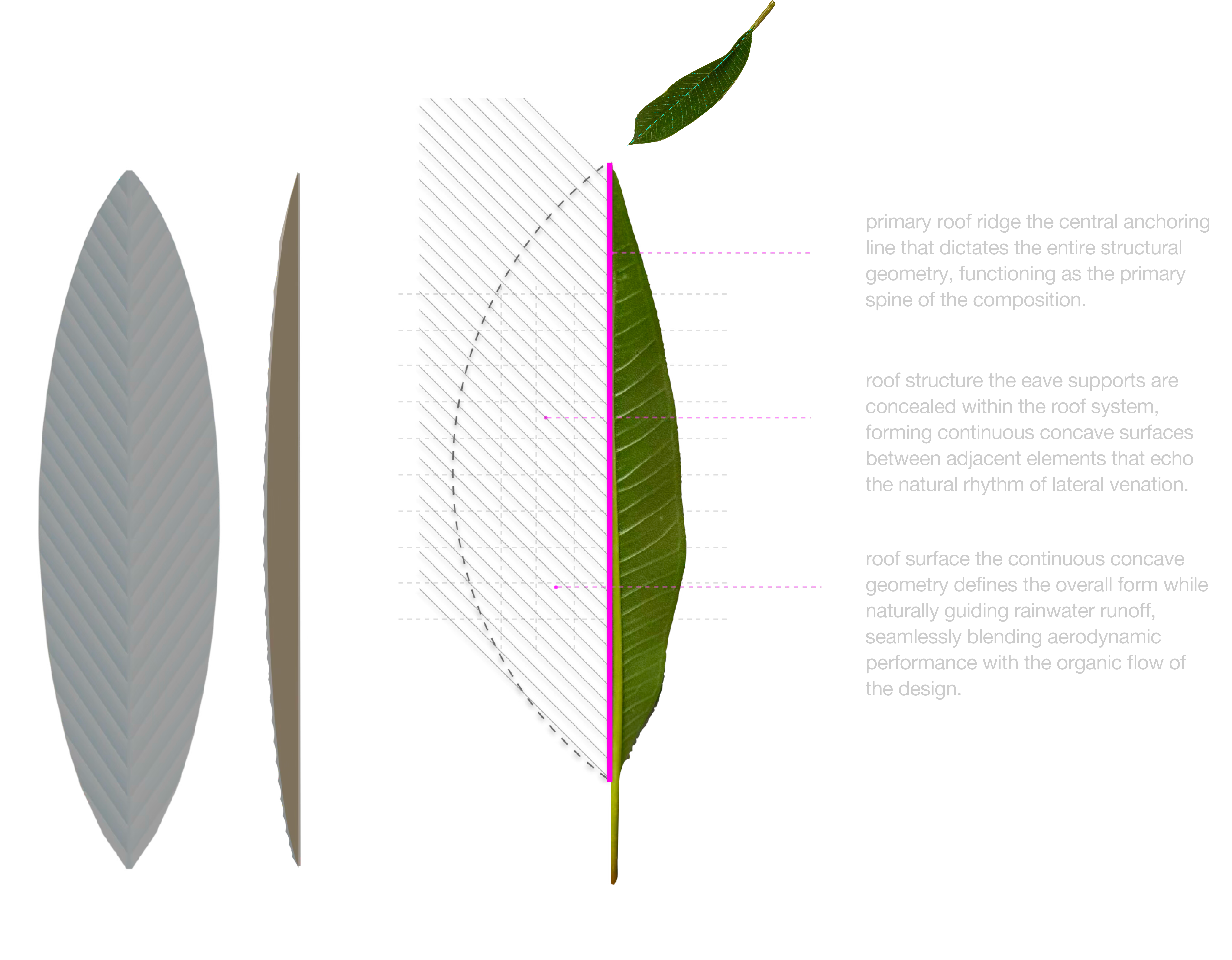 Water distribution on the roof surface